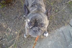 Encore et toujours je bronze dès qu'il fait beau pour draguer cet été sur la plage. Mais pas trop quand même, faut faire attention à ma peau toute douce lol Encore et toujours je bronze dès qu'il fait beau pour draguer cet été sur la plage. Mais pas trop quand même, faut faire attention à ma peau toute douce lol