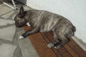 Quand il fait chaud, rien de tel que de se rafraichir en plongeant la tête dans une mini-piscine pour ne pas me noyer Quand il fait chaud, rien de tel que de se rafraichir en plongeant la tête dans une mini-piscine pour ne pas me noyer