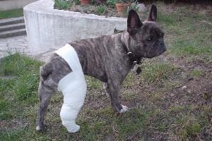 Ces trois semaines de bandage ne m'ont pas empêché de continuer à bronzer, tout en gardant un oeil sur ce qui se passe derrière la grille Ces trois semaines de bandage ne m'ont pas empêché de continuer à bronzer, tout en gardant un oeil sur ce qui se passe derrière la grille