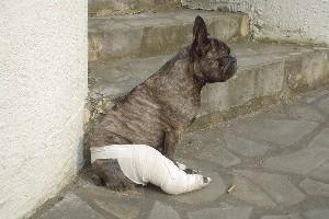 Pas de commentaire. Pas de commentaire.