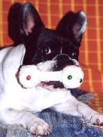 On ne réveille pas un boule qui dort!!! On ne réveille pas un boule qui dort!!!