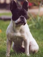 Pas de commentaire. Pas de commentaire.