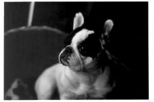 Rosy's et Tonton-Marcel en février 2003