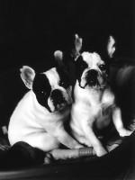 Rosy's à la plage en mars 2003