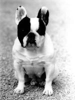 Tonton-Marcel à 5 mois