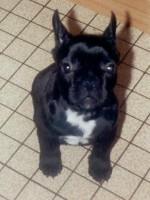 Sally prise en flagrant délit de curiosité! hummm ca sent bon par ici!!! devait t-elle se dire!