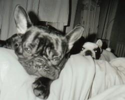 Ma première scéance photo