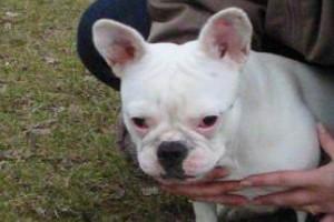 Gros repos car grosse balade juste avant Gros repos car grosse balade juste avant