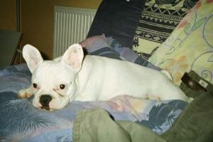 Petite pose pour la photo Petite pose pour la photo