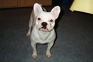 Sidonie a 3 mois sur cette photo et elle découvre les bruits de dehors Sidonie a 3 mois sur cette photo et elle découvre les bruits de dehors