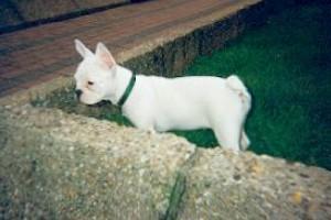 Pas de commentaire. Pas de commentaire.