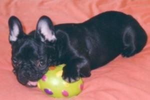 Trankillle !!!!!! sur mon balcon