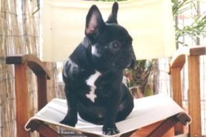 Promenade au parc, j'adore