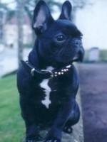 La plage c'est mon dada...