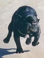 Postures de dingues : mon activité favorite