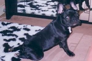 Une photo de moi en pieds quand même !