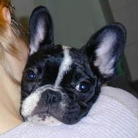 Le truc collé derrière mon oreille gauche, c'est titan... un de mes amoureux ;) Le truc collé derrière mon oreille gauche, c'est titan... un de mes amoureux ;)