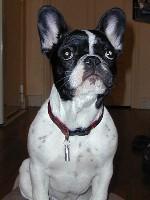 Je vous présente ma maison, spacieuse, confortable, douillette... tout comme il faut. Je vous présente ma maison, spacieuse, confortable, douillette... tout comme il faut.