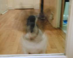 Je dors parfois sur le dos, comme tout bon boule qui se respecte, non ??? Je dors parfois sur le dos, comme tout bon boule qui se respecte, non ???