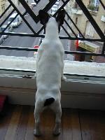 Pas de commentaire. Pas de commentaire.