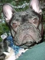 Je sors du bain je suis tout propre et je sens tout bon !