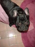 Allez... chatouille moi ! Ne te fais pas prier...