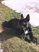 J'ai faim ! ca vient ? grrr....