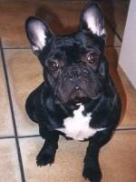 Dodo avec mon doudou... j'ai le nez tout plissé ;-)