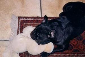 Maa beeelle étoiiile !