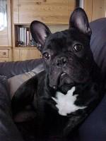 Du calme les filles ! Y en aura pour toutes !