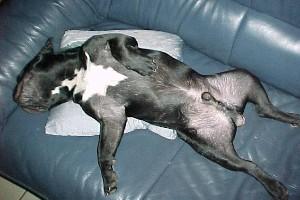 C'est si bon de tétouiller...