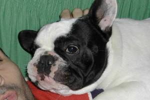 C'est ma petite maison dans la prairie...