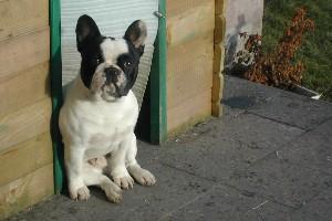 Je joue à Batman et Robin avec ma chérie Schéhérazade