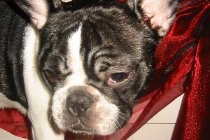 Voila je vais finir par tomber!!! l'est pas nette ma mere... Voila je vais finir par tomber!!! l'est pas nette ma mere...