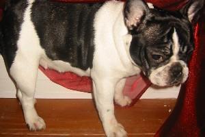 Vous trouvez pas que je suis belle quand même...? Vous trouvez pas que je suis belle quand même...?