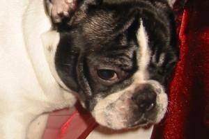 Pas de commentaire. Pas de commentaire.