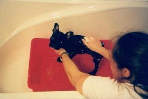 Un peu de repos sur les genoux de ma maitresse Un peu de repos sur les genoux de ma maitresse