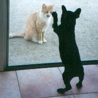 Elle a vraiment tout l'air d'un ange mais seulement l'air!!! Elle a vraiment tout l'air d'un ange mais seulement l'air!!!