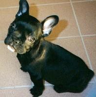 Pas de commentaire. Pas de commentaire.