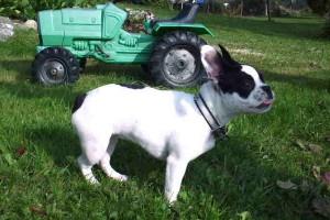 Z'avez vu comme je prends la pose !! la classe !!