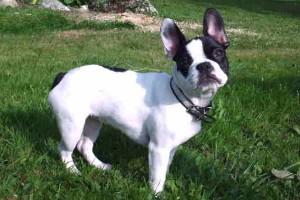 Arrête de me prendre en photo avec le flash ça m'abime les yeux !!