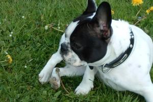 Là c'est quand je prends la pose pour faire plaisir à ma mère lol !