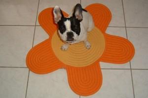 Enfin c'est finit les photos !! je peux me reposer enfin !!!