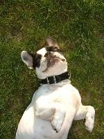 J'ai dit ca suffit arghhhhh !