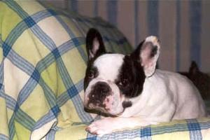 Jour de folie avec son ami Taz!!!! Jour de folie avec son ami Taz!!!!