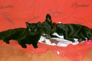 Tristane la reine du canapé et des photos...