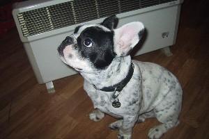 Twister à 5 mois arrff jadore ctte bouille Twister à 5 mois arrff jadore ctte bouille