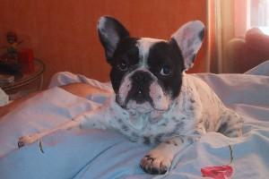 Pas de commentaire. Pas de commentaire.