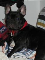 Premier calin à son nouveau Papa !