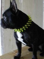 ...alors là monsieur est tout sage... profitons en ;-)